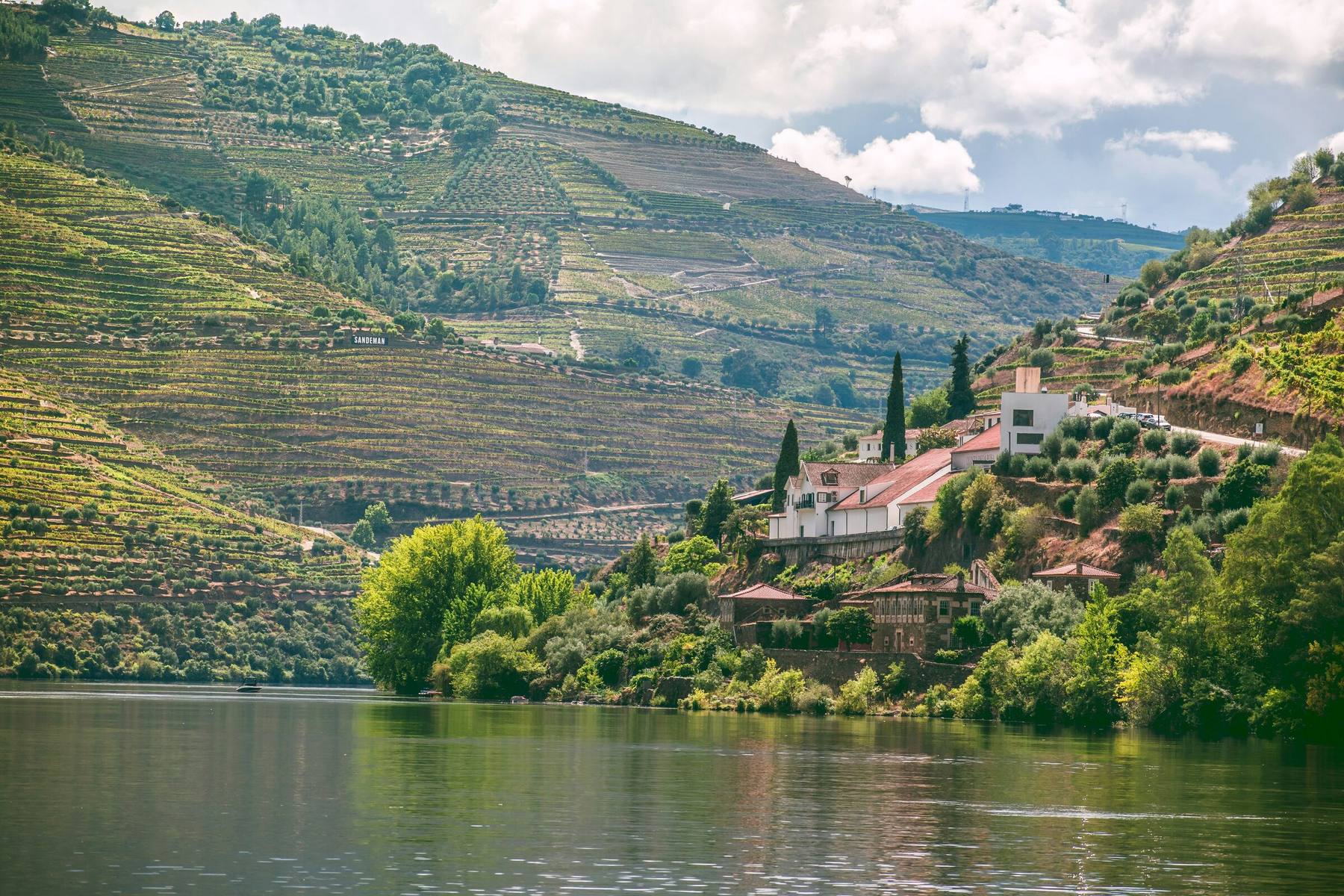 The terraced Douro Valley — schist vineyard terraces above the river and a riverside quinta.