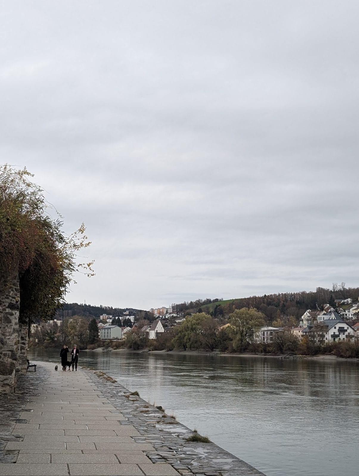 Melk Abbey and the old town, November 2024