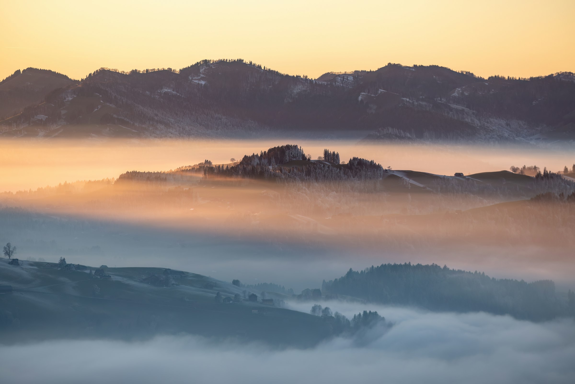 Castle ruins on a hilltop rising above a sea of fog at sunrise.
