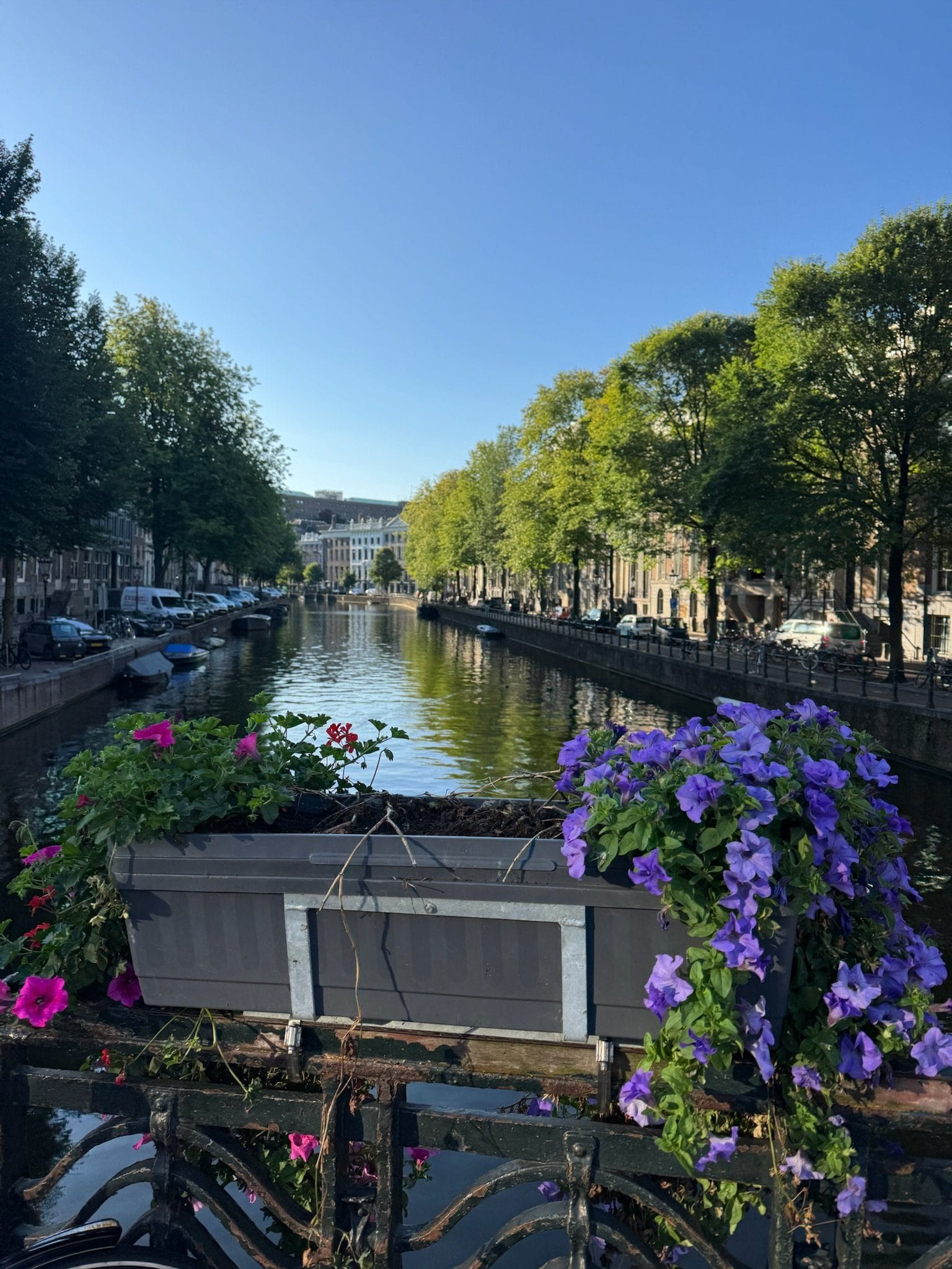 Amsterdam + Heidelberg.