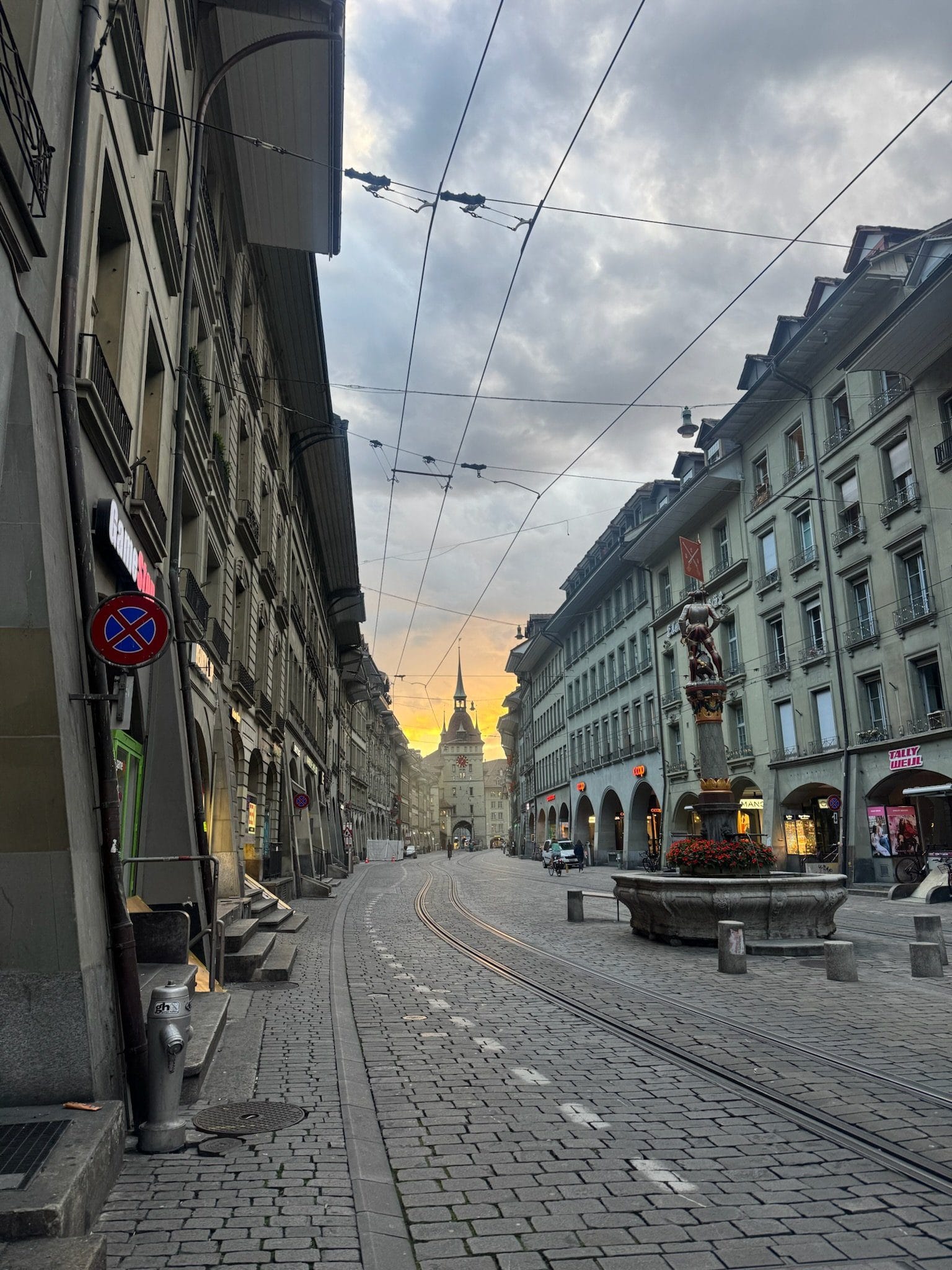 Swiss bread — braided and golden in every window.