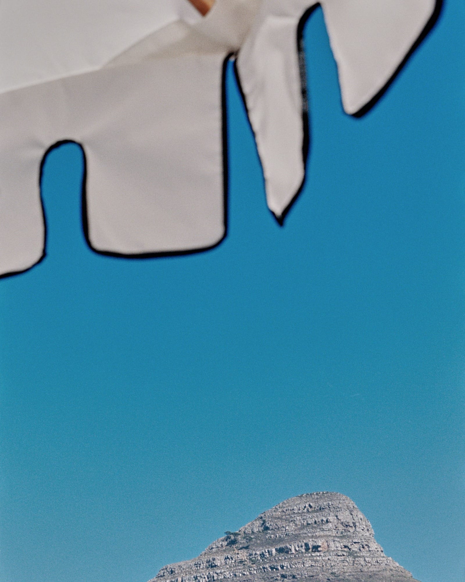 A swimmer at the larger Mount Nelson pool — palms reflected in the water, Table Mountain in the distance.
