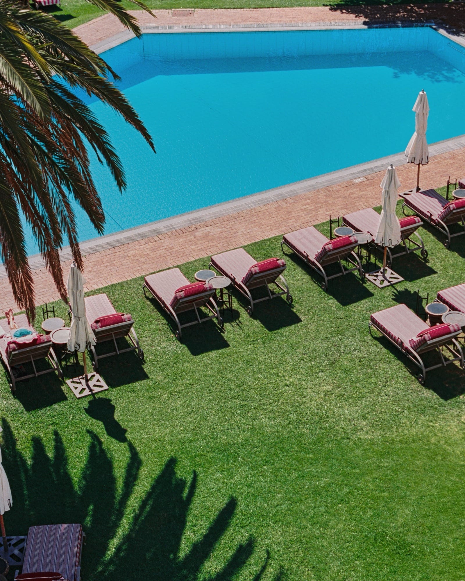 A close-up of the pool water at Mount Nelson — clear, still, the green of the garden reflected in the surface.