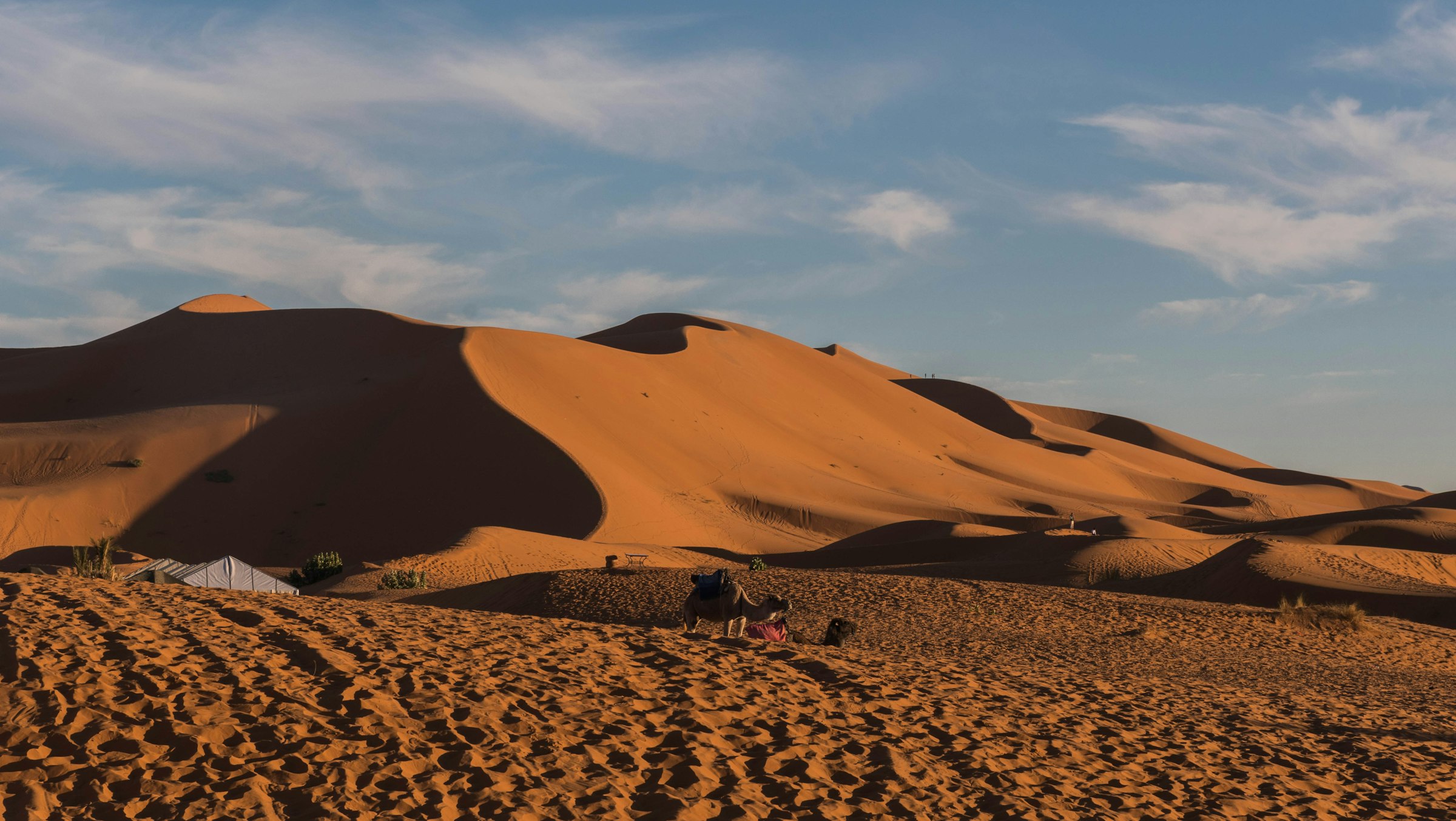 A great dune of Erg Chebbi rising from the Moroccan Sahara at first light.