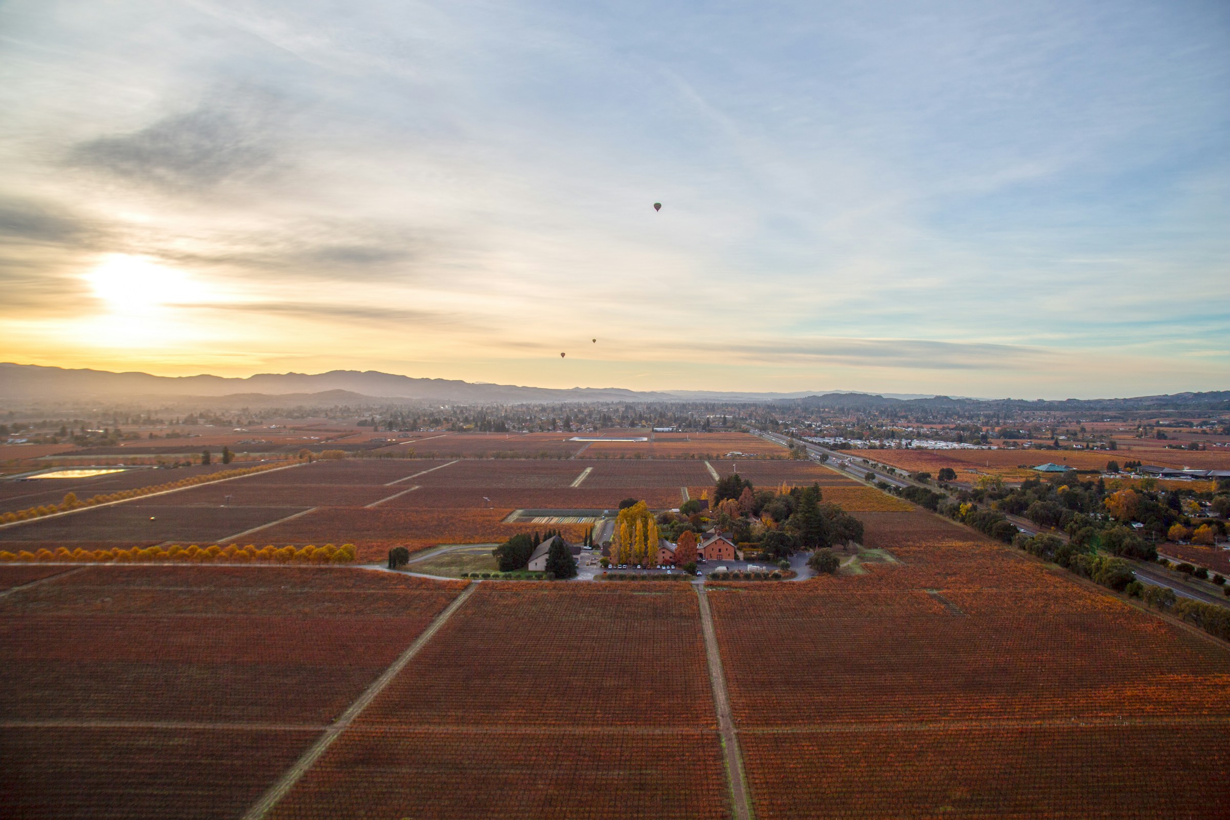 Aerial view at dawn over Napa Valley — vineyard blocks in deep autumn red, a winery among poplars, and three hot-air balloons above the valley with the hills beyond