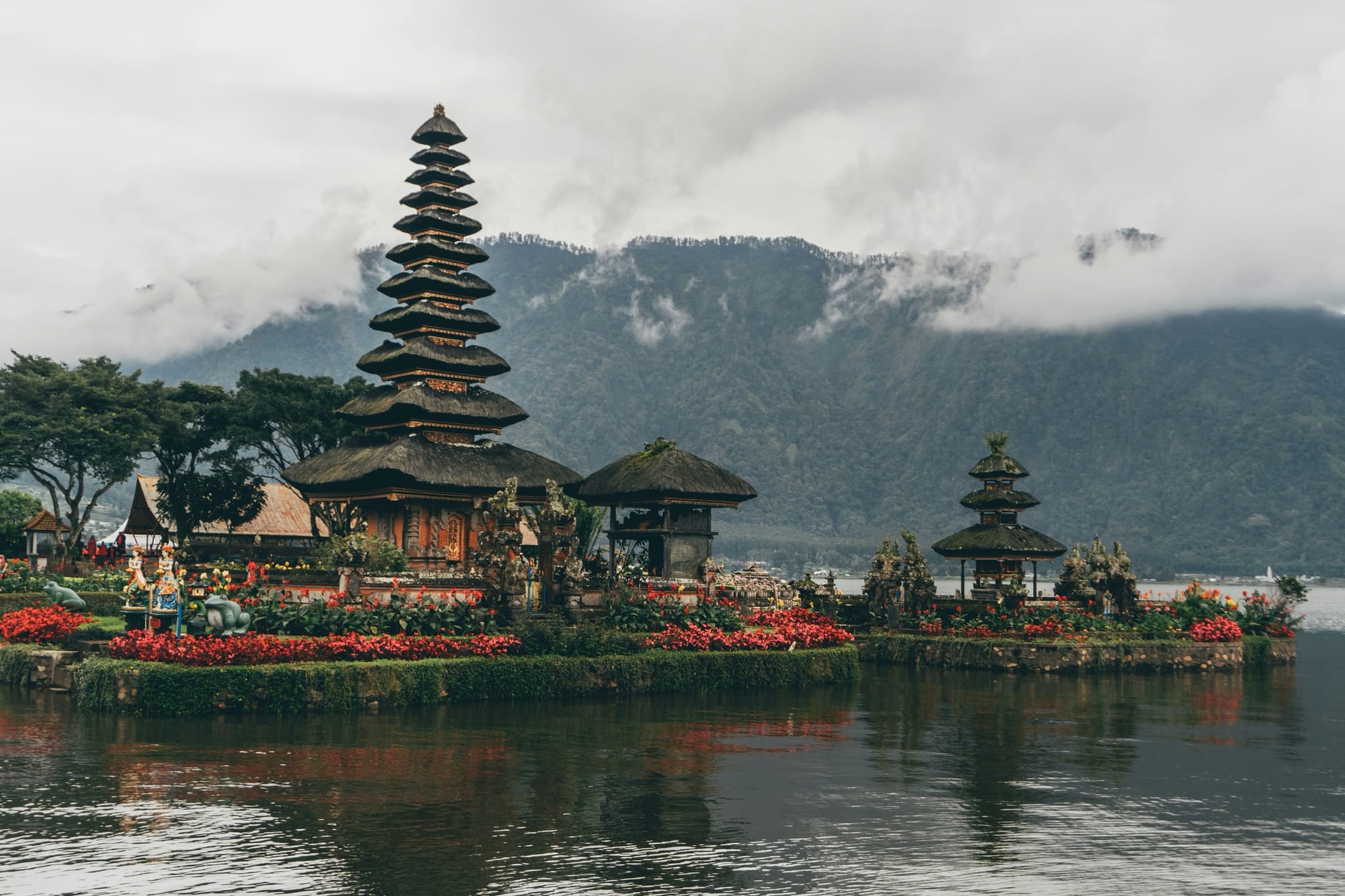 Terraced rice paddies in Bali, Indonesia