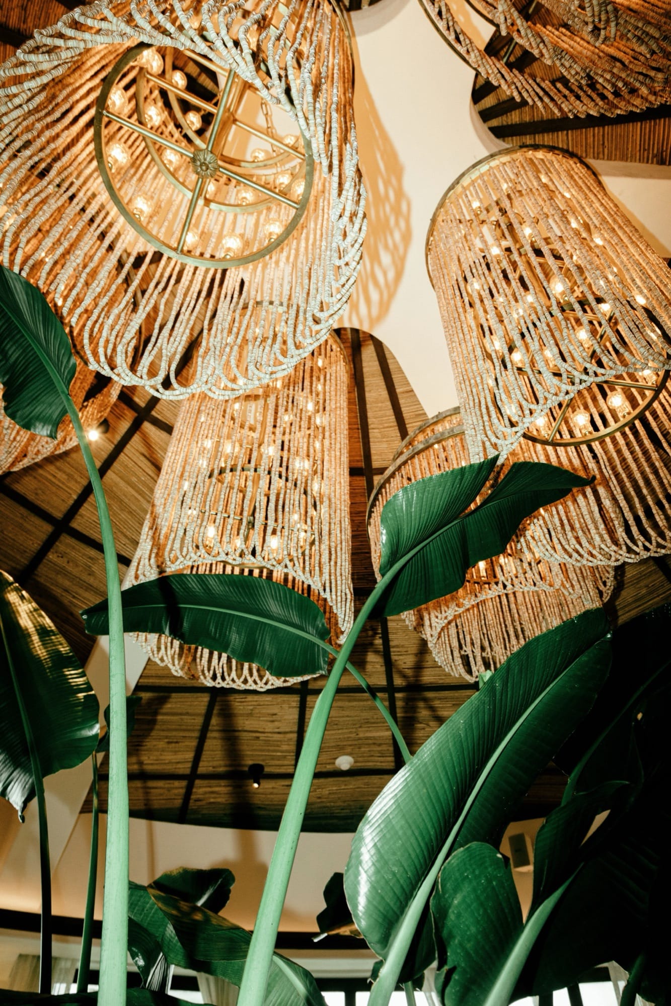 Looking up into the dining room at Maroma — woven-rope chandeliers in a cluster under the high thatched palapa ceiling, banana-leaf foliage in the foreground.