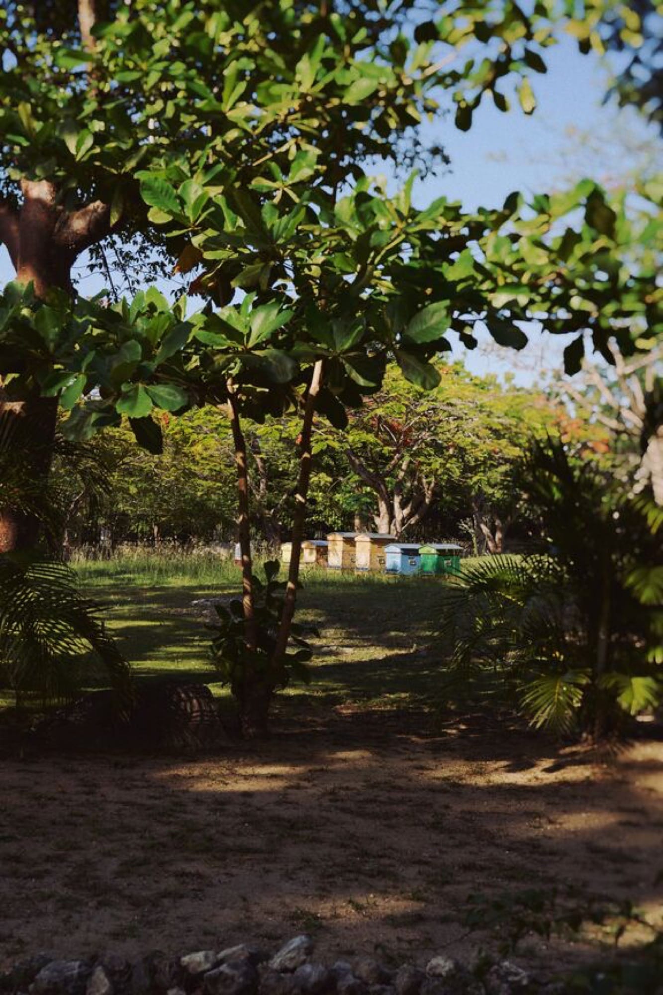 La Samanna, A Belmond Hotel — Baie Longue, St Martin, cliffside villas above the Caribbean.
