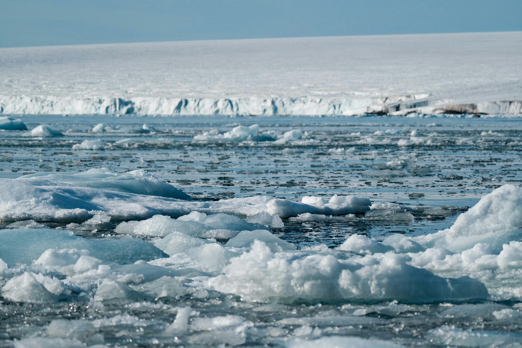 A polar bear on pack ice with an expedition ship behind it in Svalbard, the high Arctic