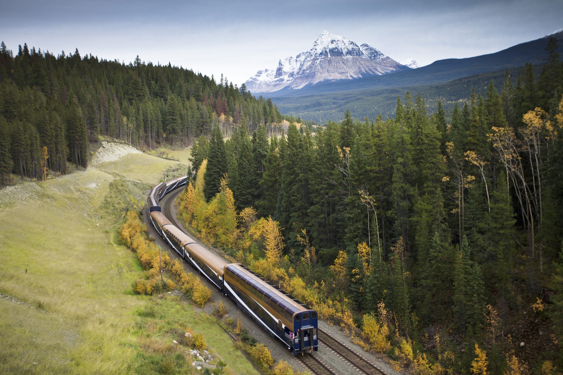 A Rocky Mountaineer train curves through an autumn-gold Canadian Rockies valley below the snow-streaked peak of Mount Fitzwilliam.