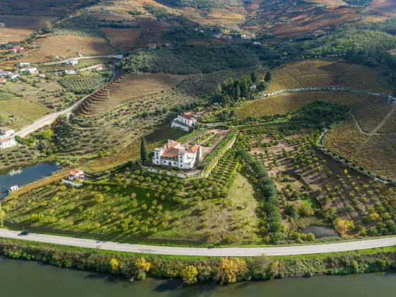 Fall Wine Country River Cruising: The Season I'd Choose