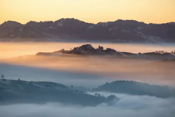 Castle ruins on a hilltop rising above a sea of fog at sunrise.