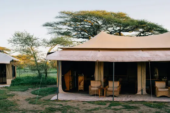 Luxury safari tented camp in the Serengeti, Tanzania at golden hour.