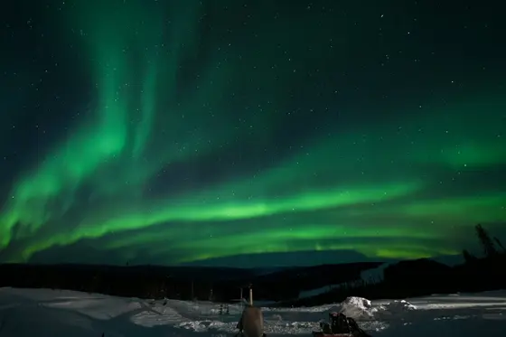 Purple and green aurora over snowy Alaska landscape.