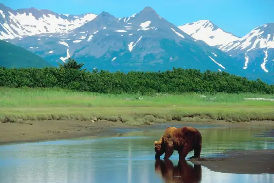 Snow-capped mountains and glacial water in the Alaskan wilderness