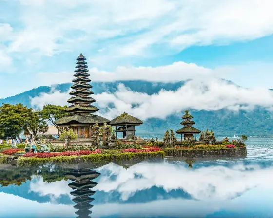 Lush green rice terraces and palm trees under a tropical sky in Bali