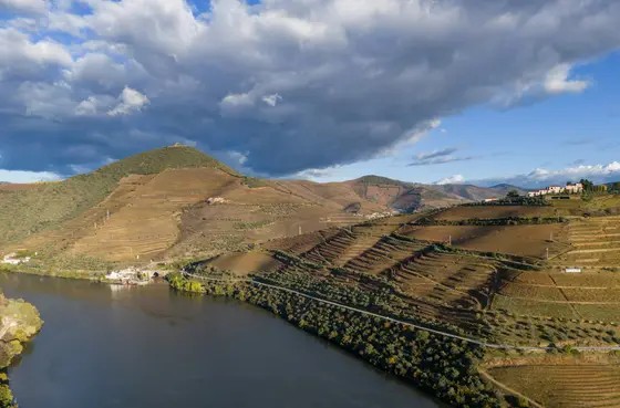 Terraced vineyards in autumn color above the Douro River near Pinhao, in northern Portugal wine country