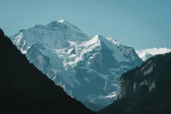 Snow-capped alpine peaks rising above green meadows in the Jungfrau region of Switzerland