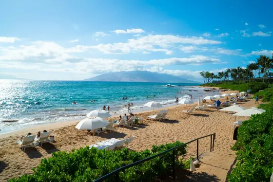 Palm-fringed beach and volcanic mountains on the island of Maui, Hawaii