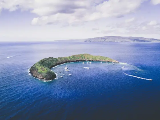 Towering green sea cliffs along the remote coastline of Molokai, Hawaii
