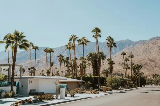 Mid-century modern architecture framed by palm trees under desert mountains in Palm Springs, California