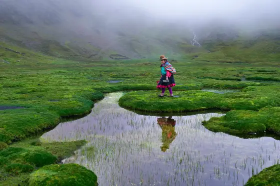 A Quechua woman in traditional dress crossing a mossy highland wetland in the Peruvian Andes