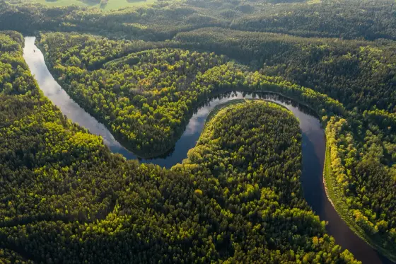 Dense green rainforest lining a wide bend of the Amazon River