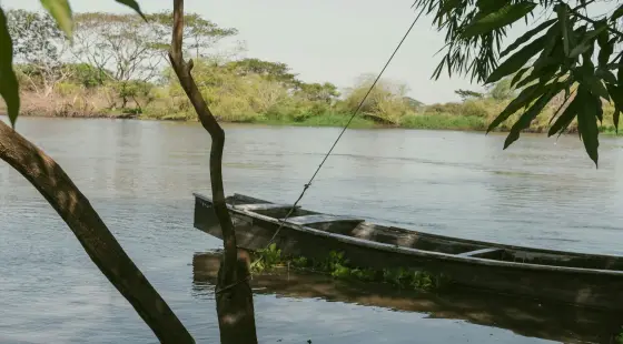 Tropical riverbanks along the wide Magdalena River in Colombia