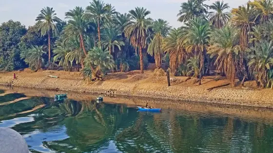 A traditional sailboat on the Nile River with desert and palms along the banks