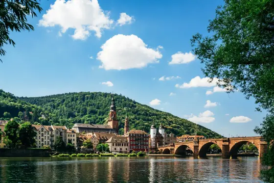 A hilltop castle above vineyards along the Rhine River in Germany