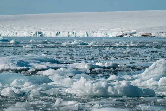 A polar bear on pack ice with an expedition ship behind it in Svalbard, the high Arctic
