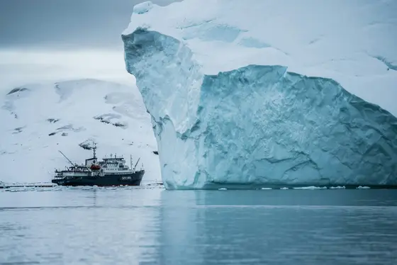 Expedition Cruises