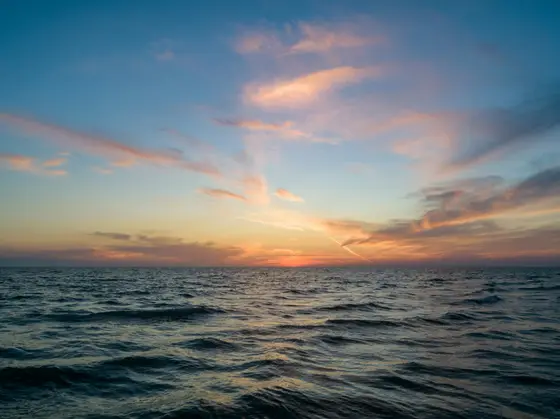 Ocean Cruises