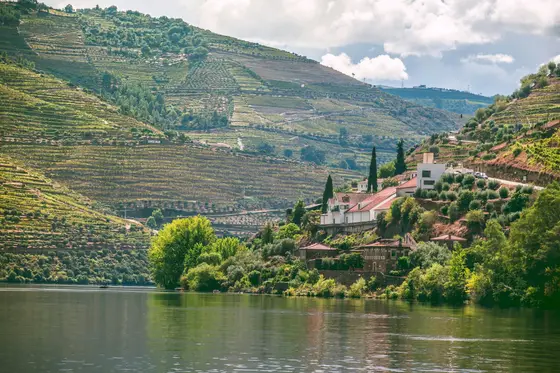 The wine river, 2027