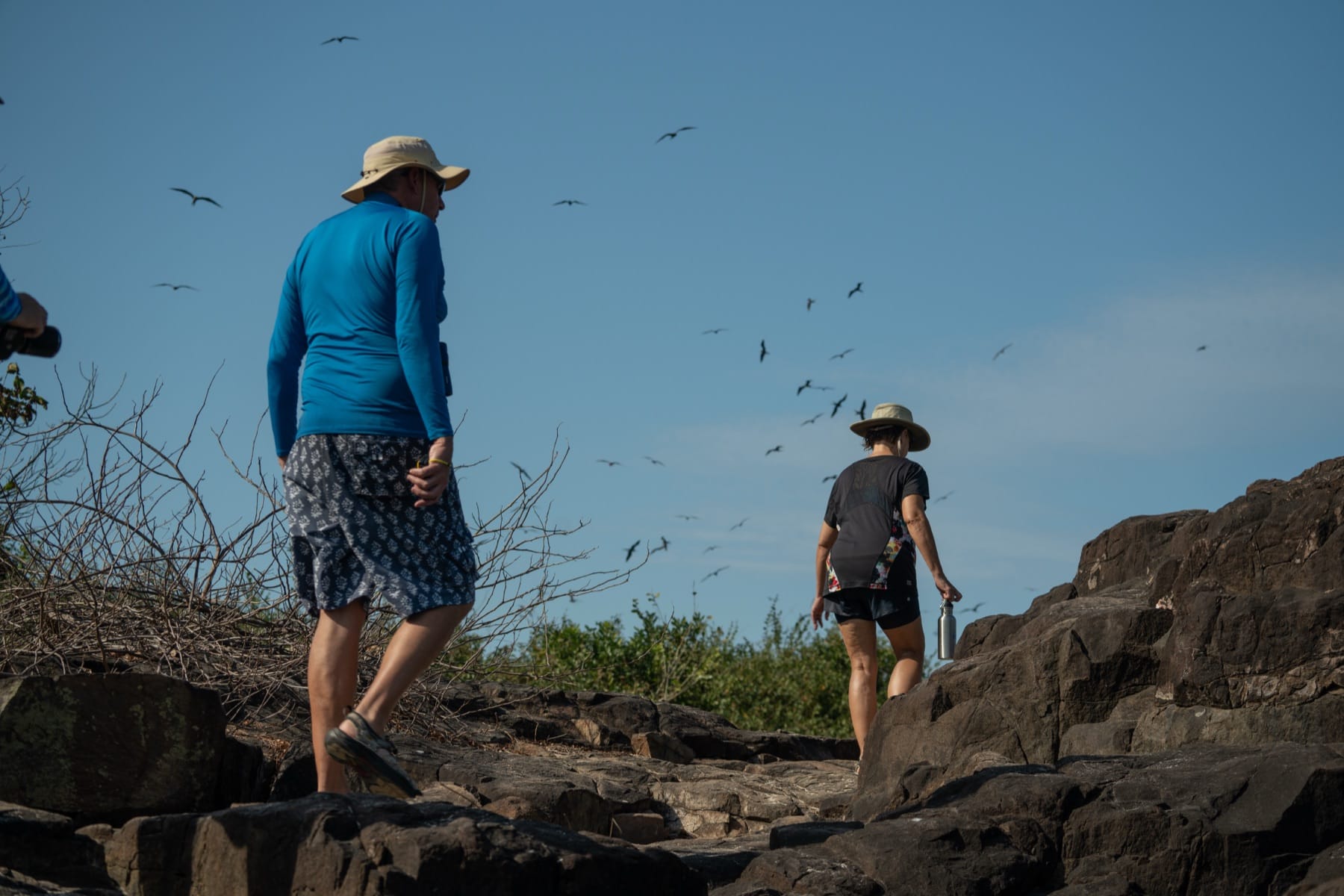 A guided coastal walk on a Galápagos island during an UnCruise naturalist-led excursion.