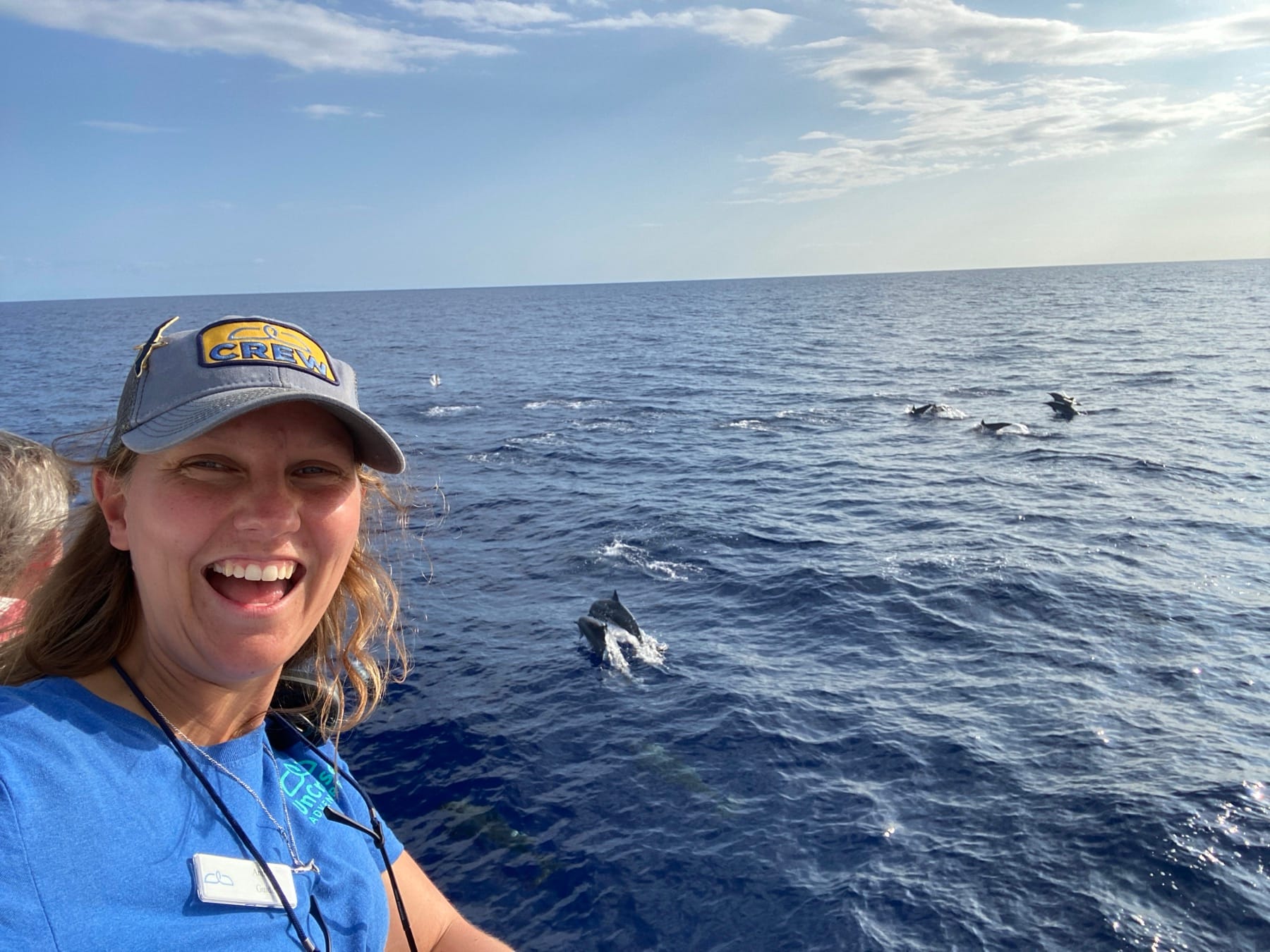 Crew member and a pod of spinner dolphins working the water near Safari Explorer in Hawaiian waters.