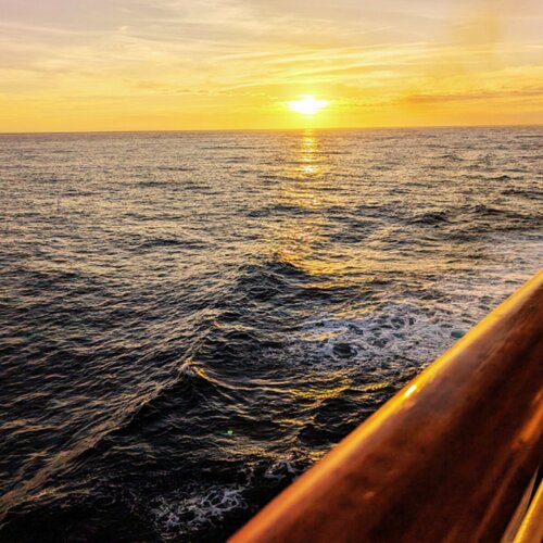 Travel still — 15